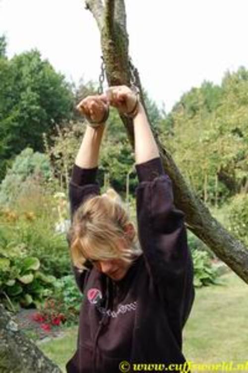 Product picture Picture set 29-2  (48 pictures)